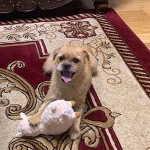 Meet your Posher, Esther